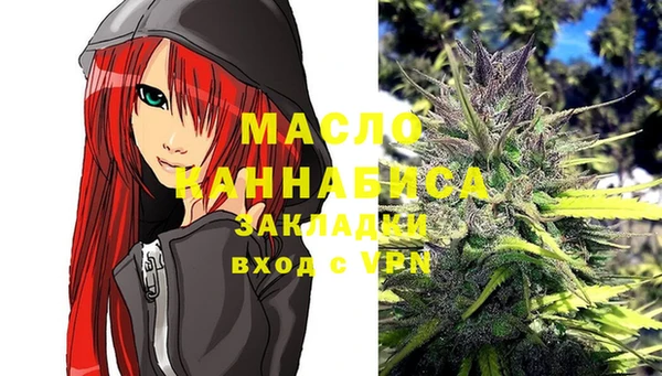 индика Няндома