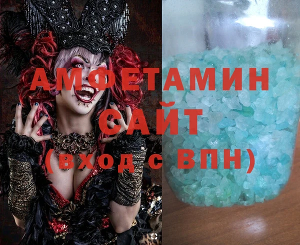 индика Няндома