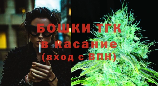 индика Няндома