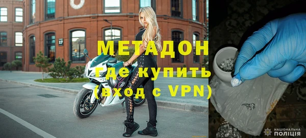 индика Няндома