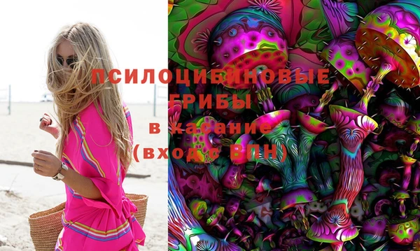 ALPHA-PVP Всеволожск