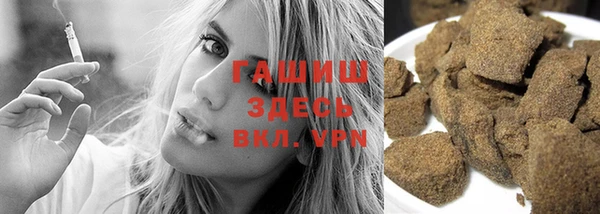 индика Няндома