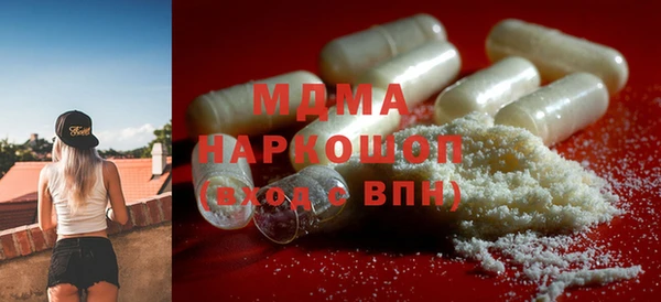 индика Няндома