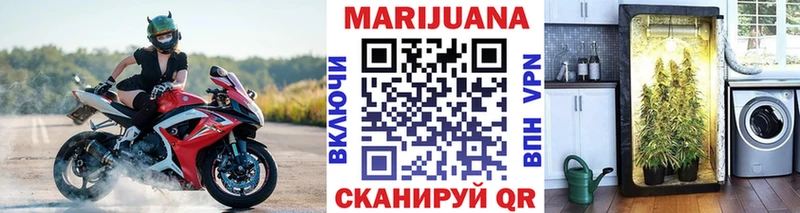 Марихуана конопля  Уржум 